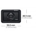 DSC-RX10