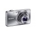 DSC-WX100