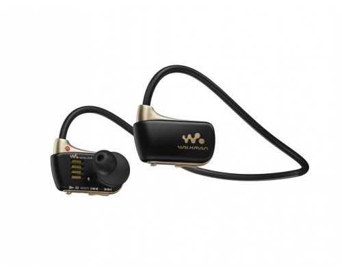 NWZ-W273S Black-Gold