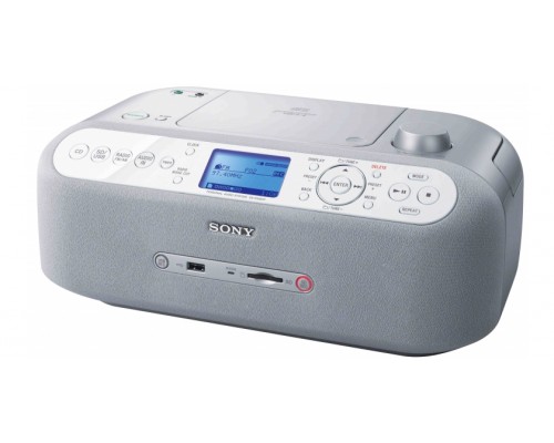 ZS-R100CP